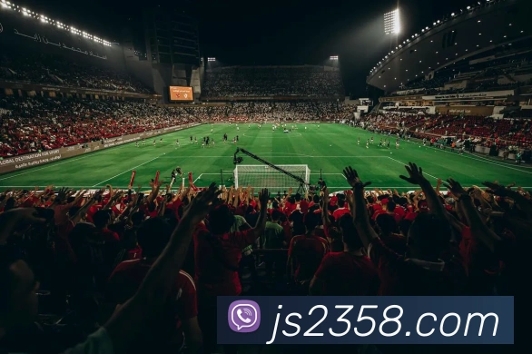 奖项证书